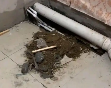 桓台卫生间漏水检测哪家好