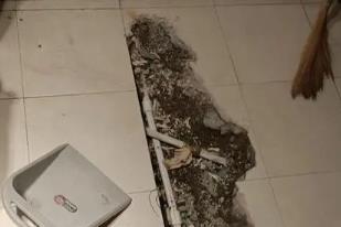 桓台卫生间漏水检测电话